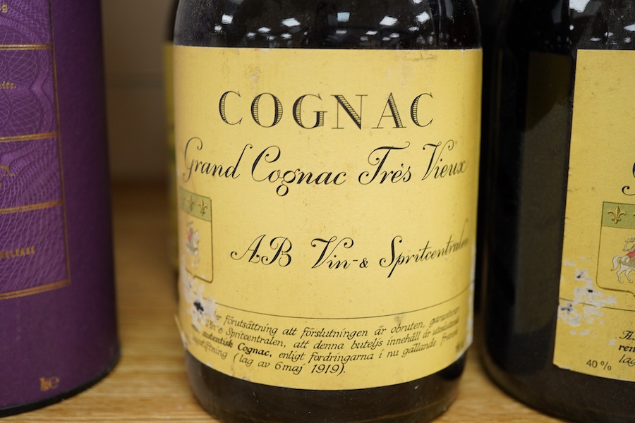 Gronstedts Extra Grand Cognac Fres Vieux, thirteen bottles and Glen Marnoch limited release Speyside single malt scotch whisky, one bottle in container (14)